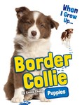 Border Collie Puppies Border Collie Puppies