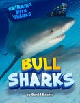 Bull Sharks Bull Sharks