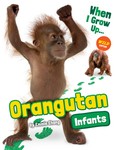 Orangutan Infants