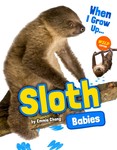 Sloth Babies Sloth Babies