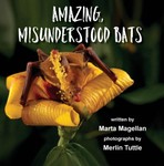 Amazing, Misunderstood Bats