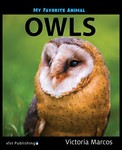 My Favorite Animal: Owls My Favorite Animal: Owls