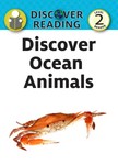 Discover Ocean Animals