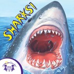 Know-It-Alls! Sharks Know-It-Alls! Sharks
