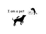 I am a pet