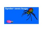 Spider sees bugs