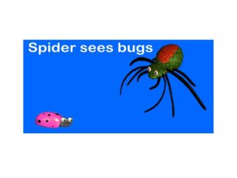 Spider sees bugs Spider sees bugs