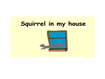 Squirrel in my house Squirrel in my house