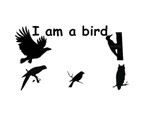 I am a bird
