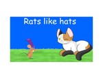 Rats like hats Rats like hats
