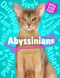 Abyssinians Abyssinians