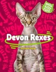 Devon Rexes Devon Rexes