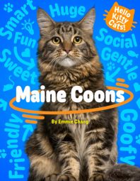 Maine Coons Maine Coons
