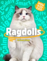 Ragdolls Ragdolls