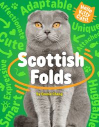 Scottish Folds Scottish Folds