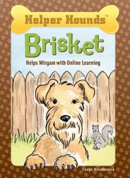 Brisket Helps Miryam with Online Learning Brisket Helps Miryam with Online Learning